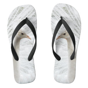 Tongs Peacock blanc belles plumes