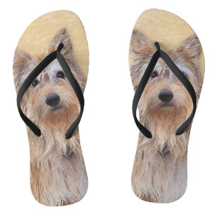 Tongs Peinture Berger Picard - Joli art original chien
