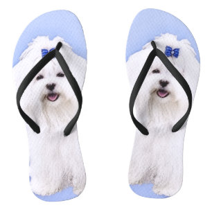 Tongs Peinture maltaise - Joli art original pour chien