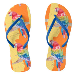 Tongs Perroquet Perroquets Macaw Tropical Oiseau Oraange