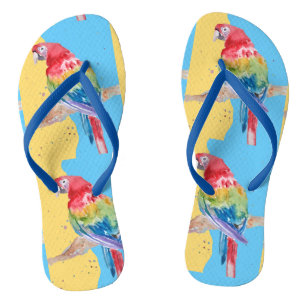 Tongs Perroquet Perroquets Tropical Macaw Oiseau Bleu Ho