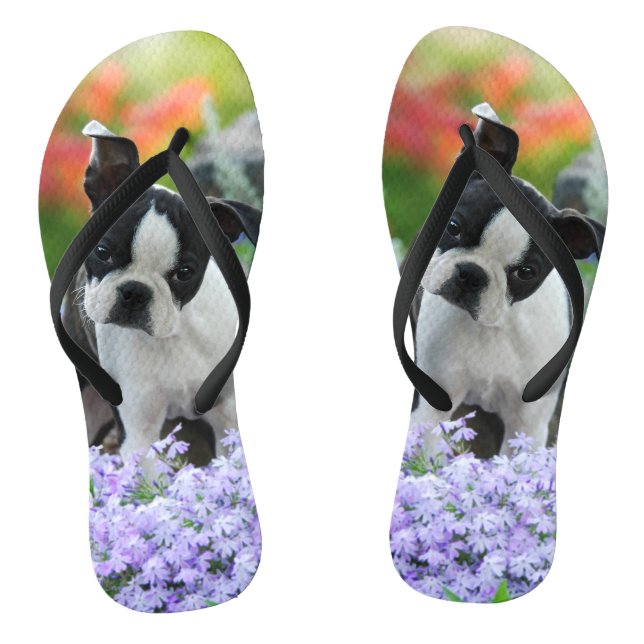 Tongs Photo mignonne d'animal familier de portrait de (Semelle)