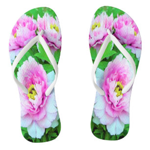Tongs Pivoines arbustives roses élégantes avec centre ja