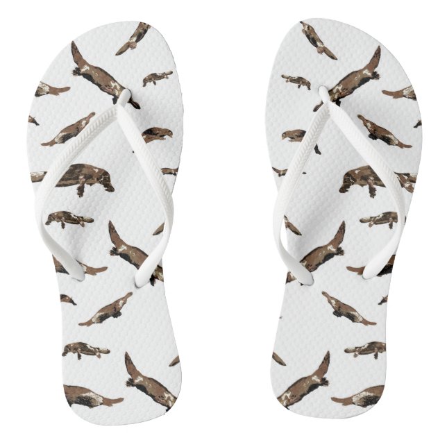 Tongs Platypus (Ornithorhynchus anatinus) (Semelle)