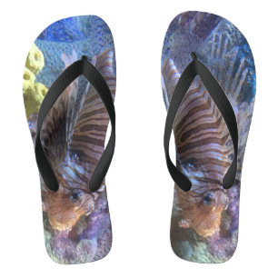 Tongs Poisson