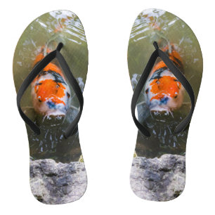 Tongs Poisson Koi dans un étang