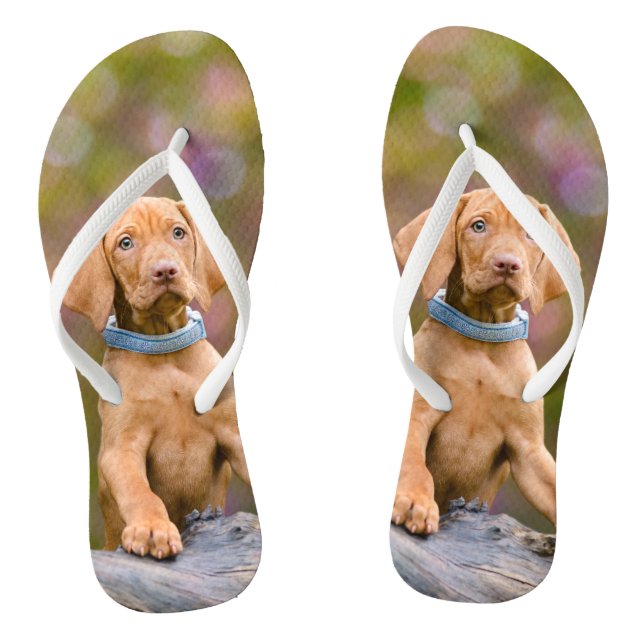 Tongs _-puppyeyed mignon de photo de chiot de chien de (Semelle)