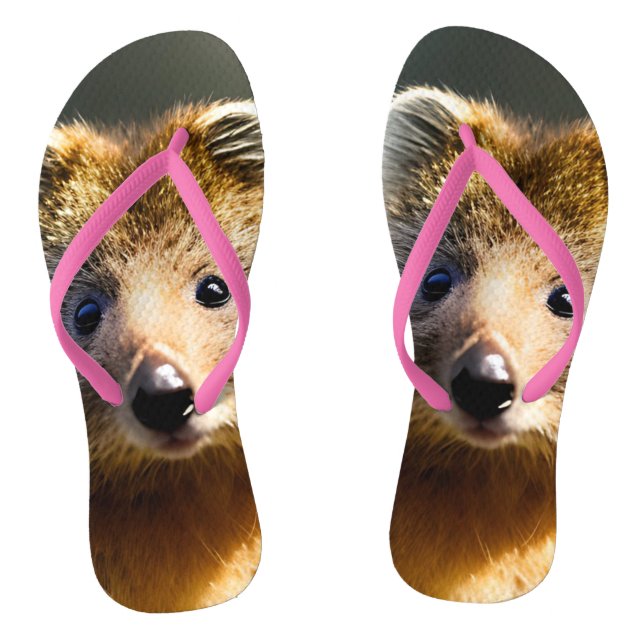 Tongs Quintin Le Ginger Quokka, Flip Flops (Semelle)