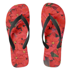 Tongs Red Poinsettias I Christmas Holiday Floral Photo