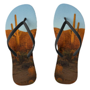 Tongs Saguaro Sunset I Arizona Désert Paysage