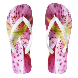 Tongs Stargazer Lily brillant Magenta Floral