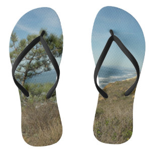 Tongs Torrey Pine and California Coastline Landscape