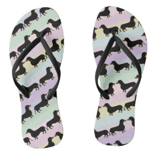 Tongs Tournes Dachshund