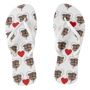 Tongs Tournesol des chiots de Valentines yorkie