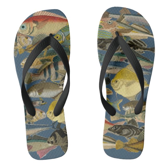 Tongs Tropical Exotic Ocean Poisson Profond Poisson de m (Semelle)