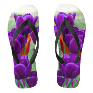 Tongs Tulipes violettes foncées par beau temps dans le j