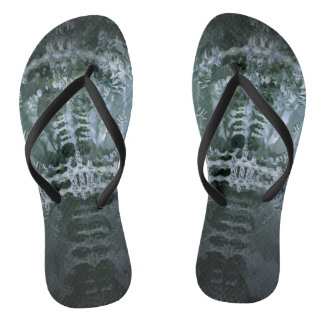 Tongs vertébra