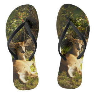 Tongs Young Buck in the Meadow