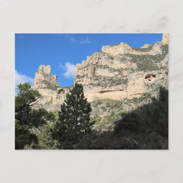 Tongue Canyon in Bighorn National Forest, Wyoming Postkarte (Vorderseite)