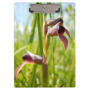 Tongue Orchid Clipboard Klemmbrett