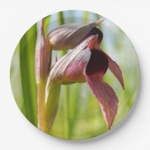 Tongue Orchid Paper Teller