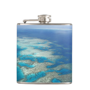 Tongue Reef, Great Barrier Reef Marine Park, Flachmann