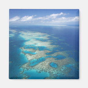 Tongue Reef, Great Barrier Reef Marine Park, Magnet