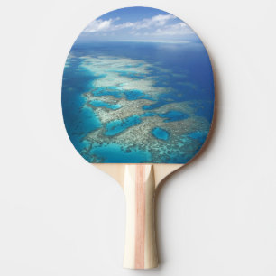 Tongue Reef, Great Barrier Reef Marine Park, Tischtennis Schläger
