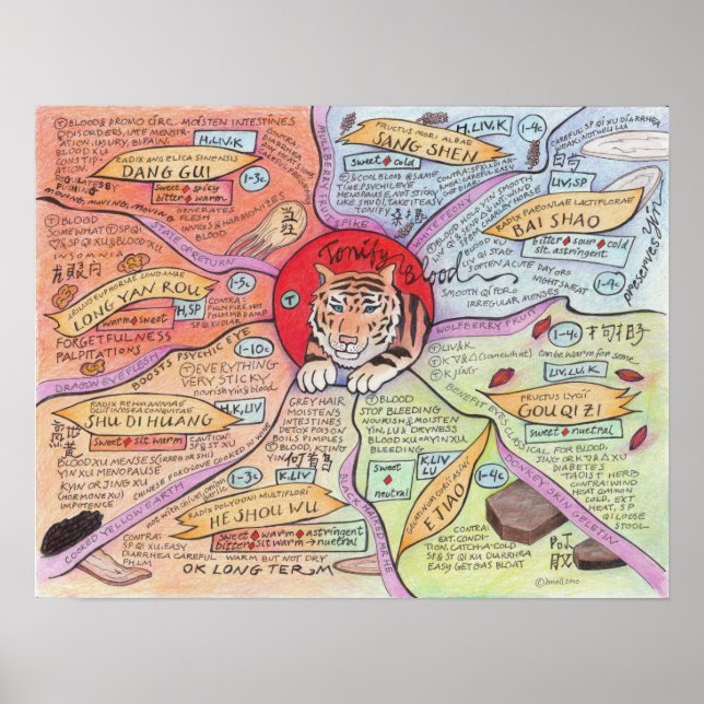 Tonify Blood Poster (Vorne)