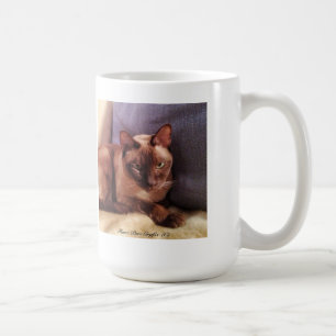 Tonkinese, intensives Anstarren Kaffeetasse