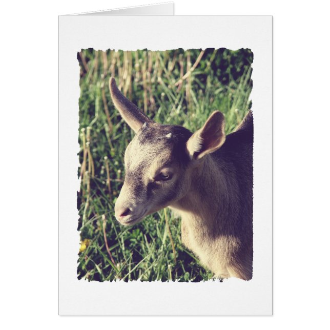 Tonnerre Vintage (Devant)