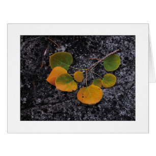 "Tons D'Automne"
