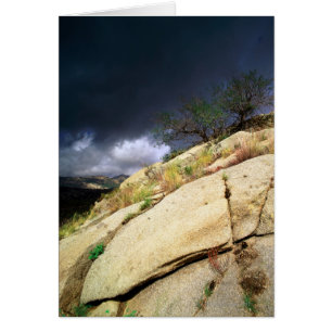 Tonto National Forest, Arizona, Vereinigte Staaten