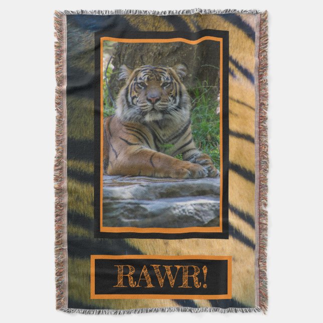 TONY DECKE (Vorderseite Vertikal)