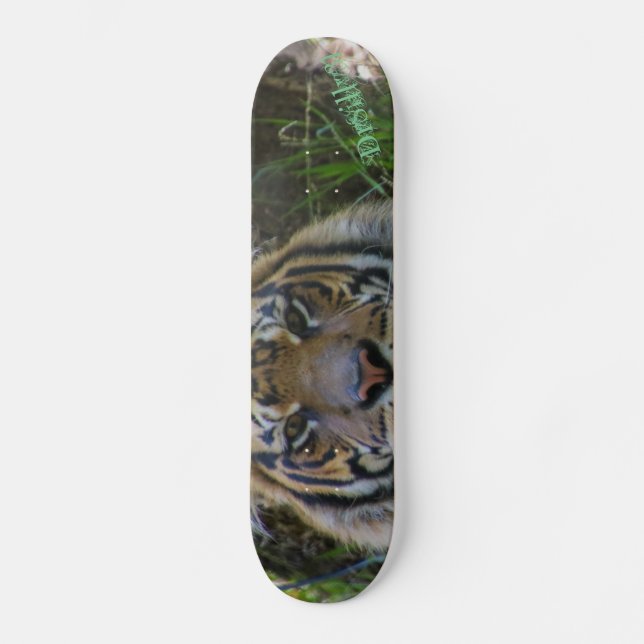 Tony Skateboard (Vorderseite)