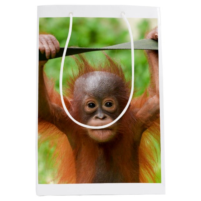 Too Cute to Handle – Little Orangutan Mittlere Geschenktüte (Vorderseite)