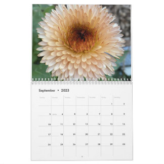 TooleyWoods 2023-Kalender Kalender