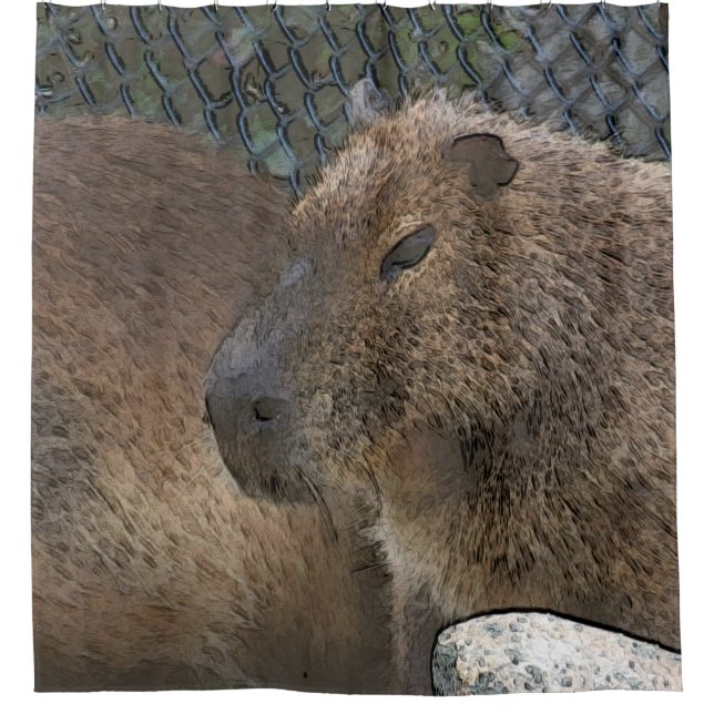 Toony Capibarah Duschvorhang (Vorderseite)