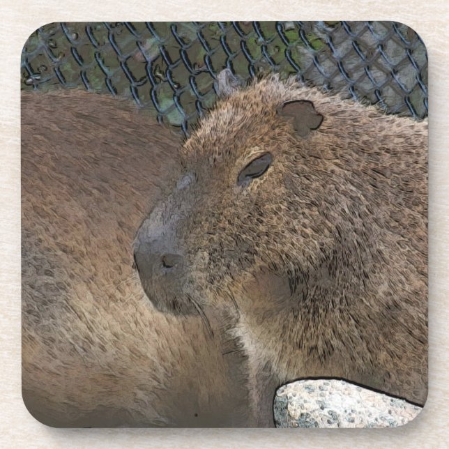 Toony Capibarah Getränkeuntersetzer (Vorderseite)