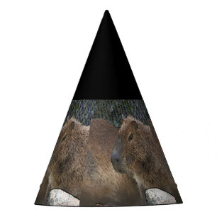 Toony Capibarah Partyhütchen