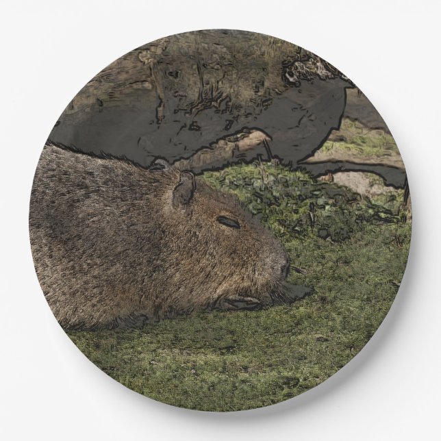 Toony Capy 2 Pappteller (Vorderseite)