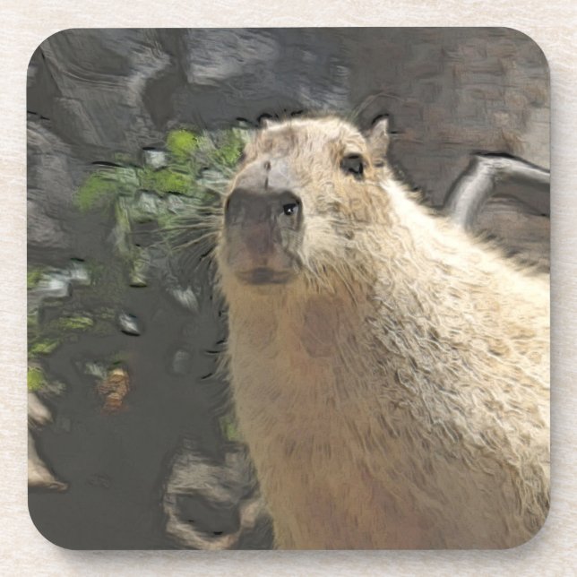 Toony Capy 3 Getränkeuntersetzer (Vorderseite)