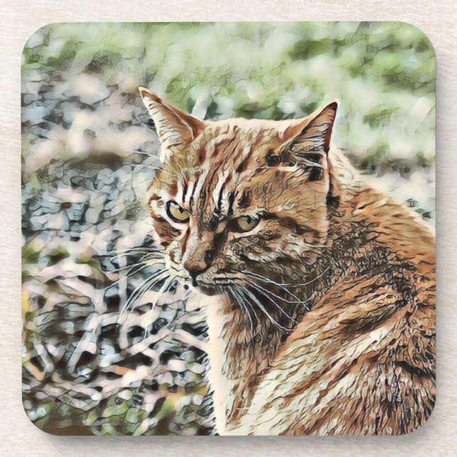 Toony Cat Getränkeuntersetzer (Vorderseite)