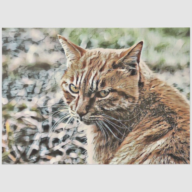 Toony Cat Seidenpapier (Vorderseite)