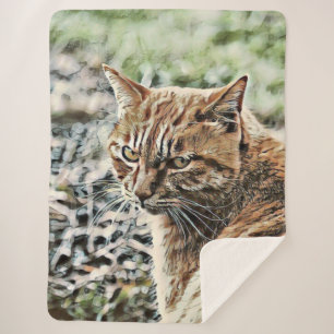 Toony Cat Sherpadecke