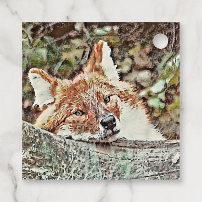 Toony Fox Geschenkanhänger (Rückseite)