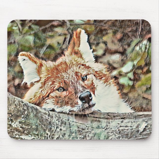 Toony Fox Mousepad (Vorne)
