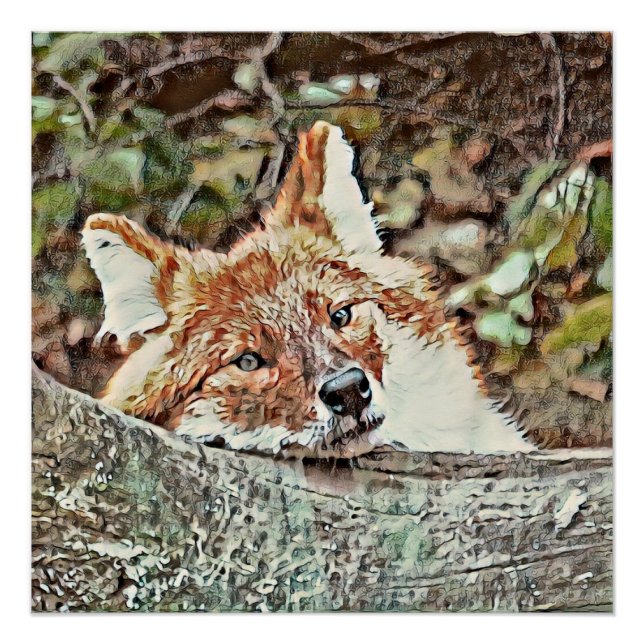 Toony Fox Poster (Vorderseite)