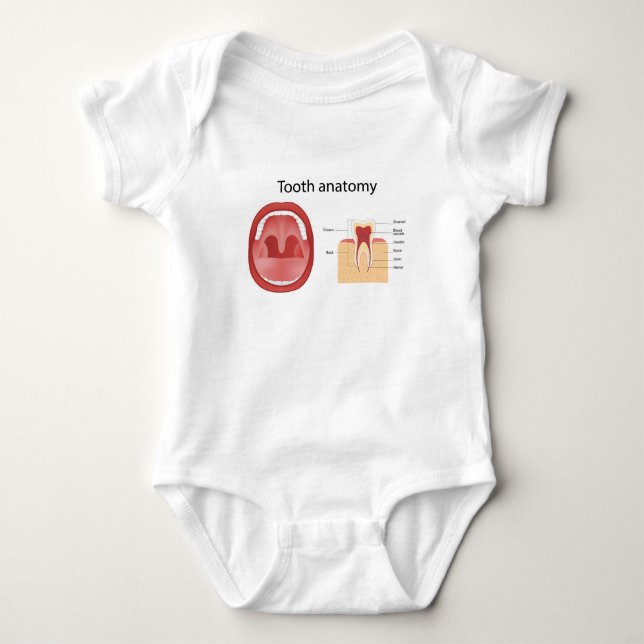 Tooth anatomy baby strampler (Vorderseite)