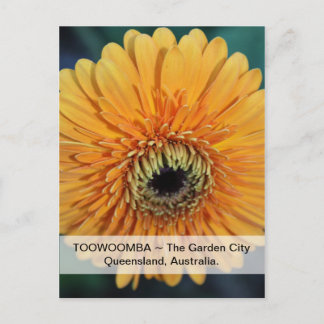 Toowoomba La Carte Postale Garden City